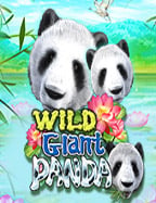 บทความ joker: สูตรชนะเกมสล็อตแบบมืออาชีพ